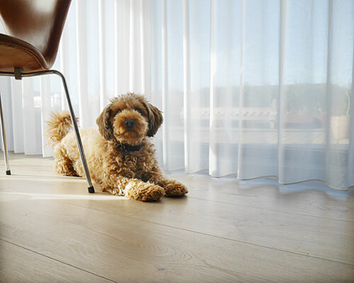 Lyse gardiner - KatrineFV - Blog