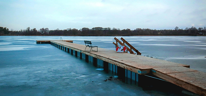 Vinterlandksab - Foto af Damir